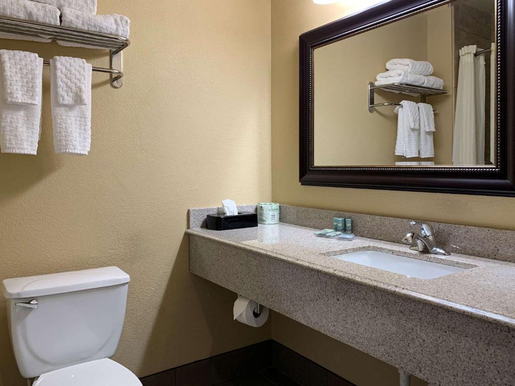 Comfort Inn Saint Paul East - Room King Estándar - No Fumador