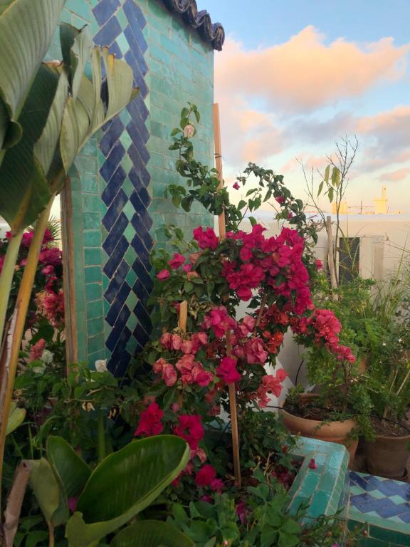 Giardino di Riad Marhaba