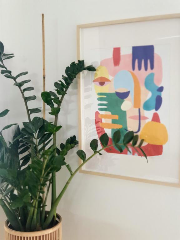 Vera Cruz Suite Apartment - 一居室公寓