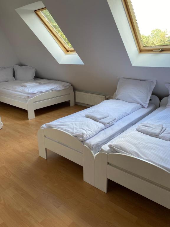 two beds in a attic room with skylights at Gościnec pod lipami in Kruszyniany