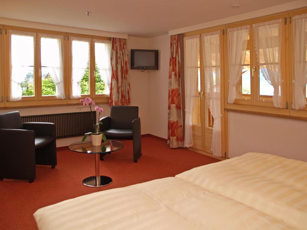 TV a/nebo společenská místnost v ubytování Hotel Steinbock