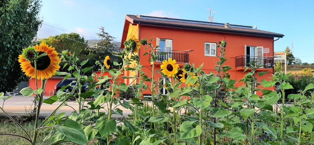 un edificio rojo con girasoles delante de él en Sotto Li Foj, en Picerno