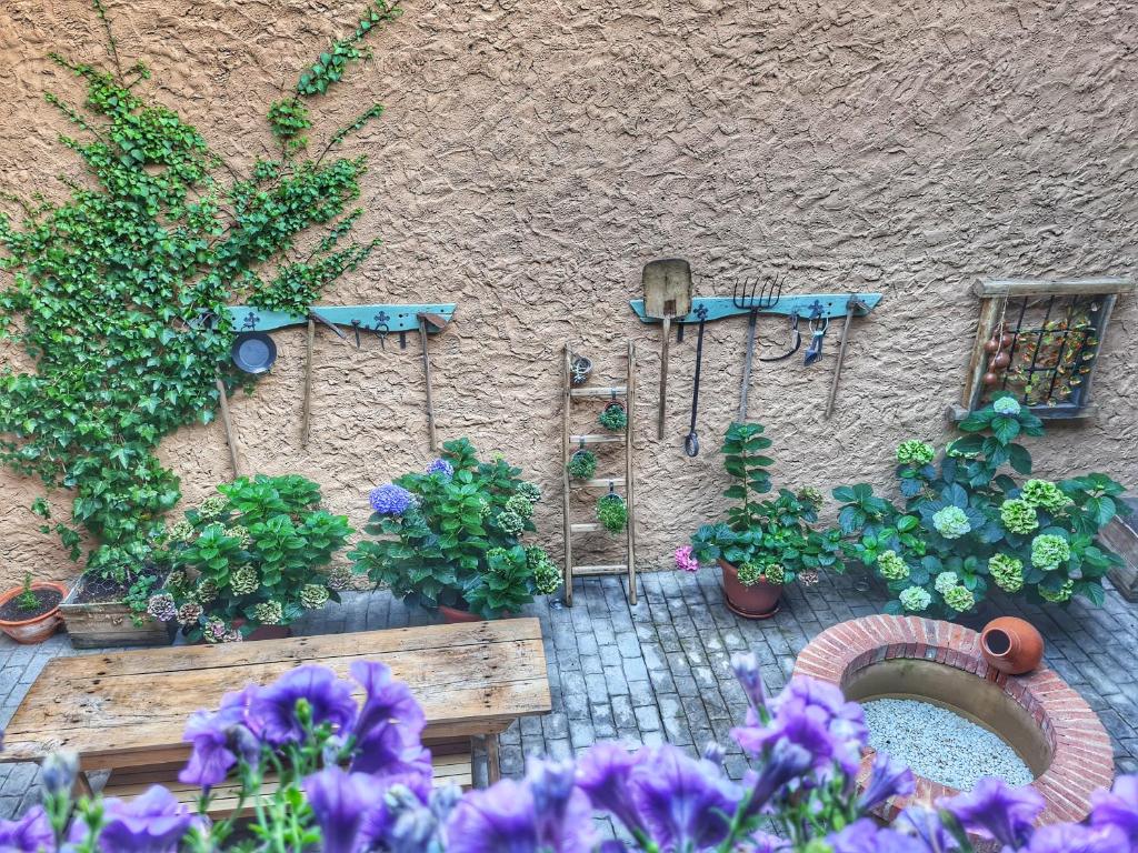 Zahrada ubytování Albergue El Encanto