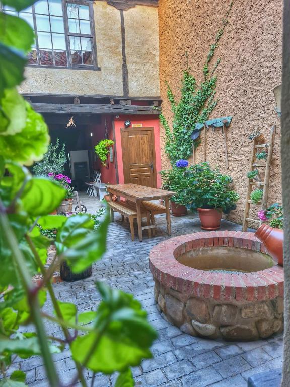 Zahrada ubytování Albergue El Encanto