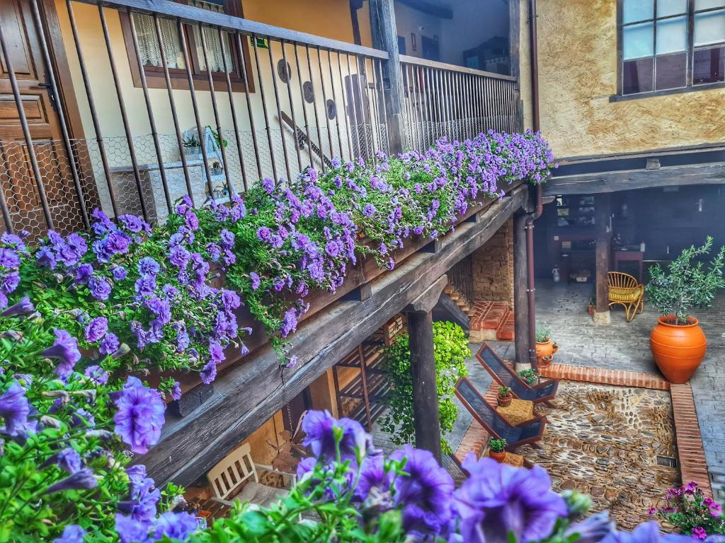 Zahrada ubytování Albergue El Encanto