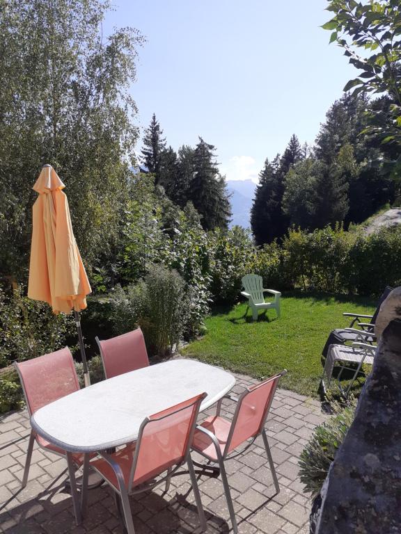Příroda nedaleko apartmánu