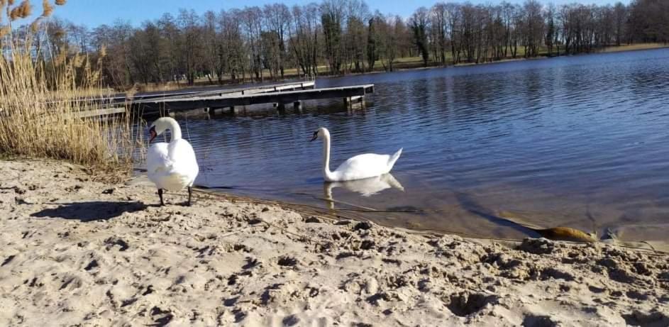 Príroda v okolí dovolenkového domu