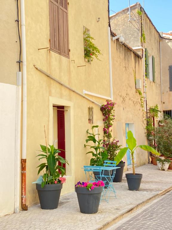 a group of potted plants in front of a building at Appartement le Quai du Port Cassis parking clim in Cassis
