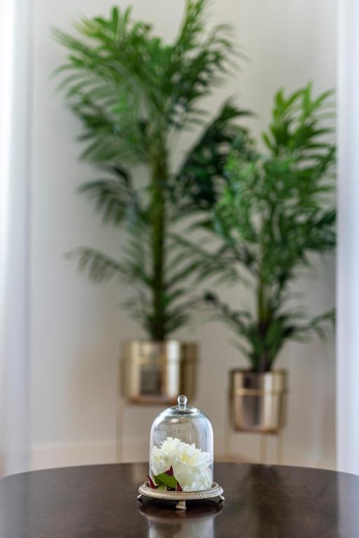 Templo Boutique Hotel - Resim 39