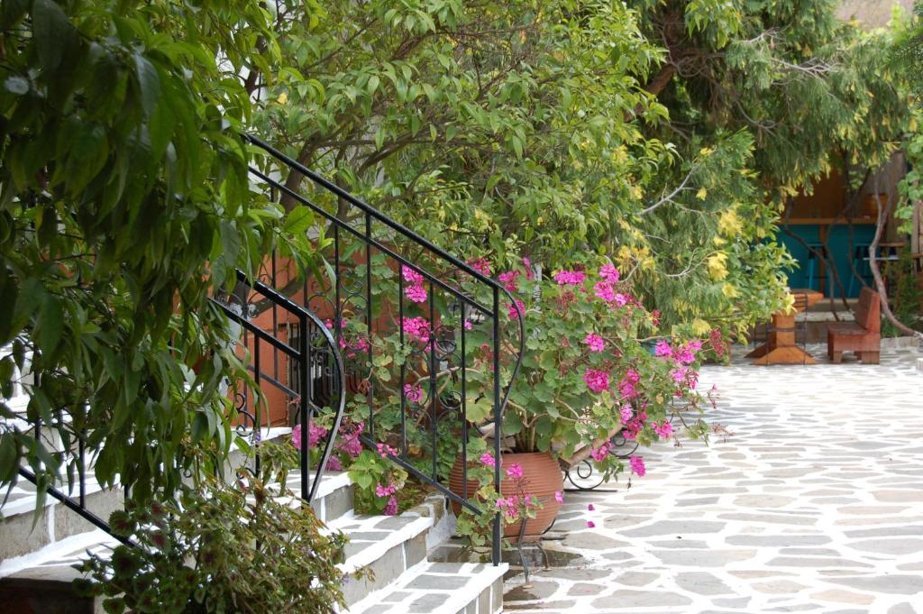 Fotografia z galérie ubytovania Hotel Villa Marie v destinácii Syvota