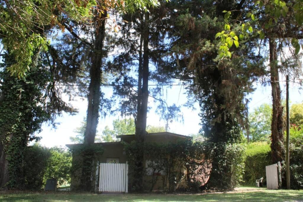 dom na środku podwórza z drzewami w obiekcie Casa Quinta Marie Rose w mieście Mercedes