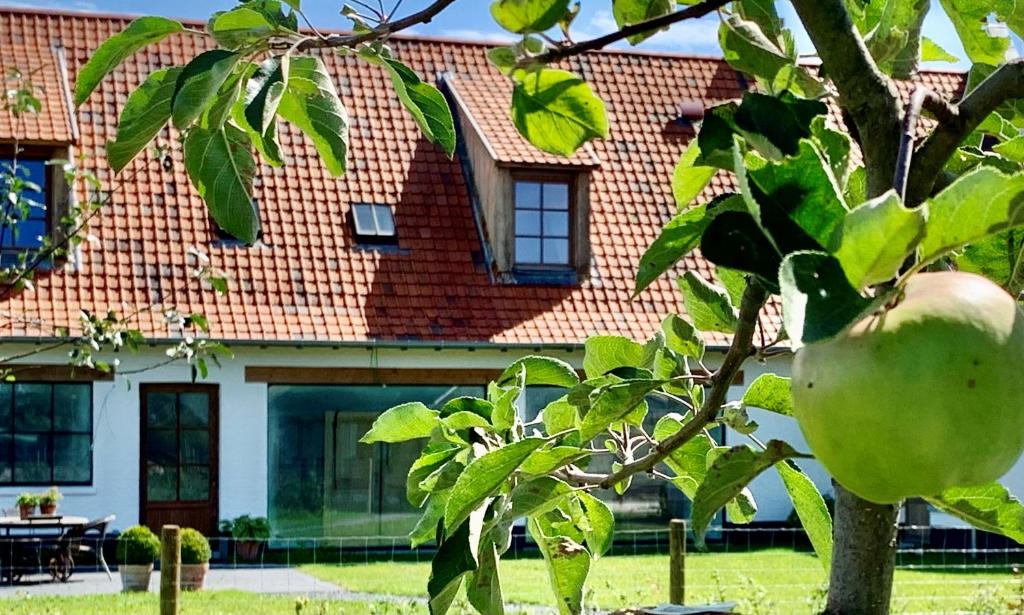 ein Apfelbaum vor einem Haus in der Unterkunft b&b Meilrijk in Diest