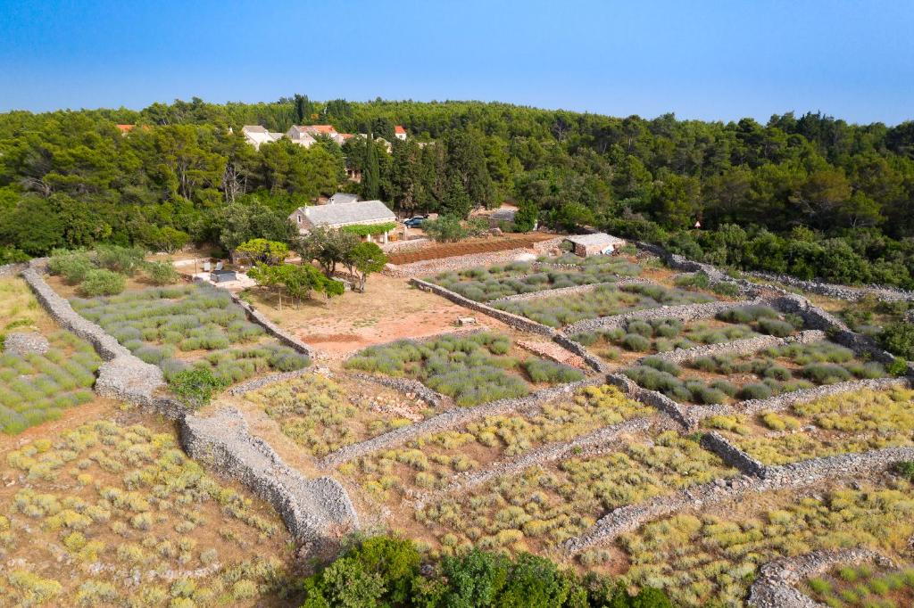 an aerial view of a field of crops at Villa Humac Hvar in Poljica