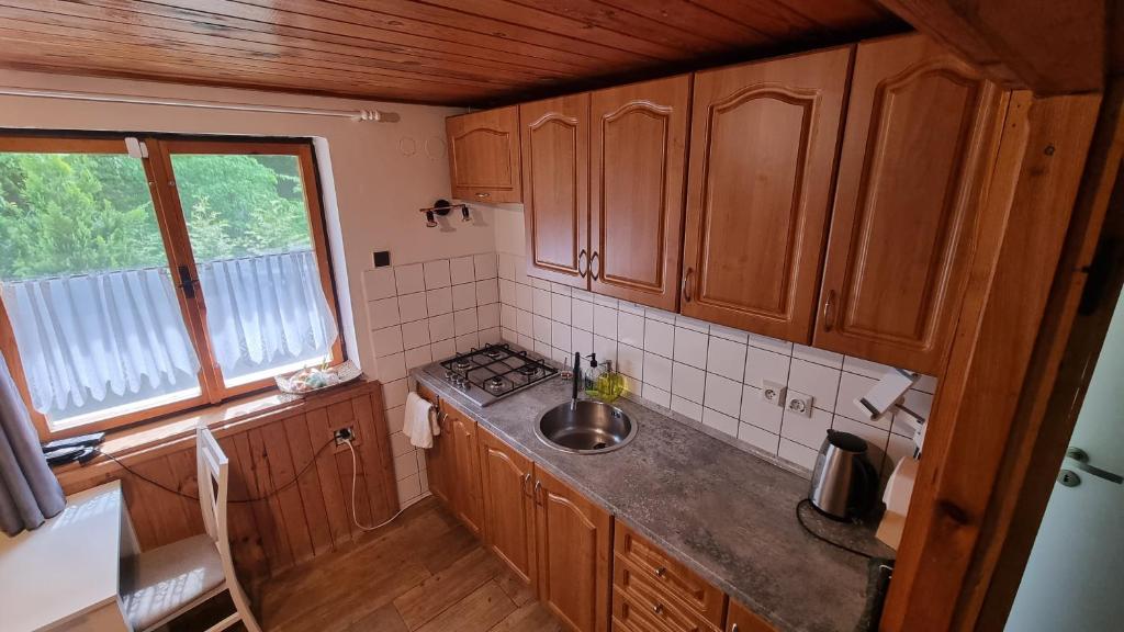 Kuchyň nebo kuchyňský kout v ubytování Chata Modesta
