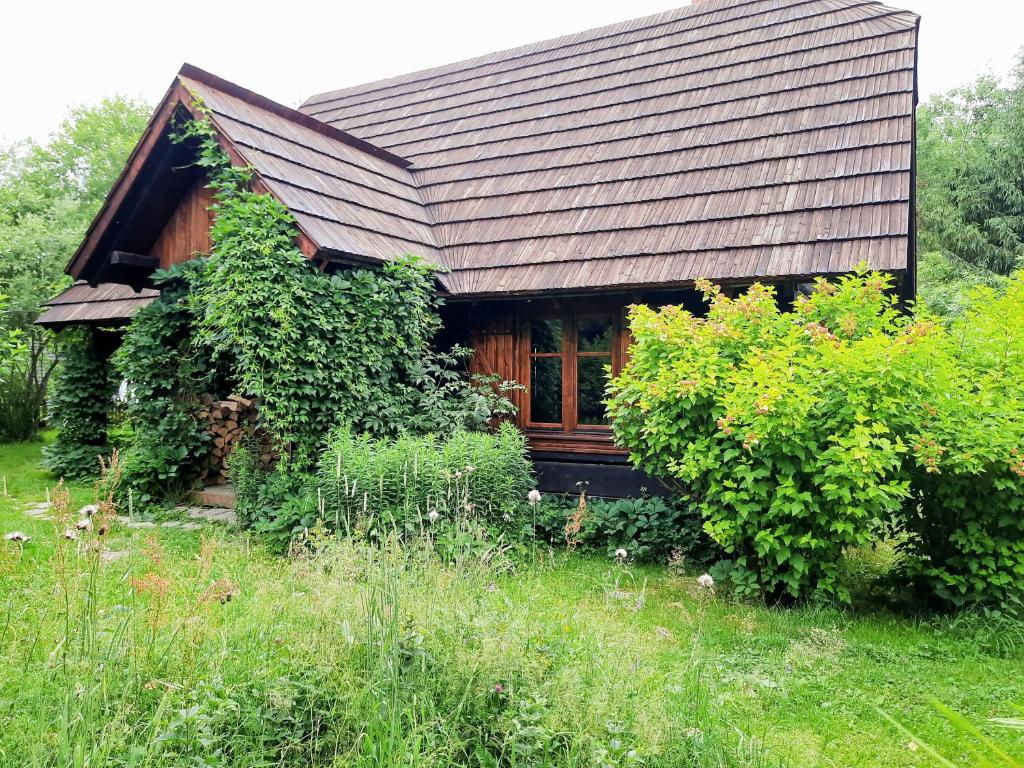 a small house with a roof and some bushes at Chata Balówka in Cisna