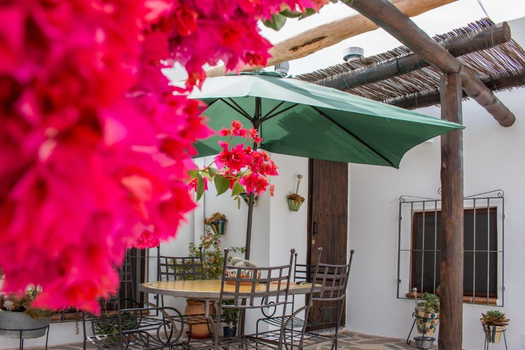 un patio con una mesa y una sombrilla verde en Villa AURORA Nijar, en Níjar