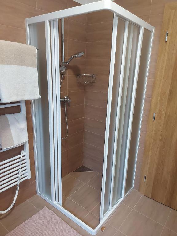 Koupelna v ubytování Apartmán Lipno s výhledem na jezero