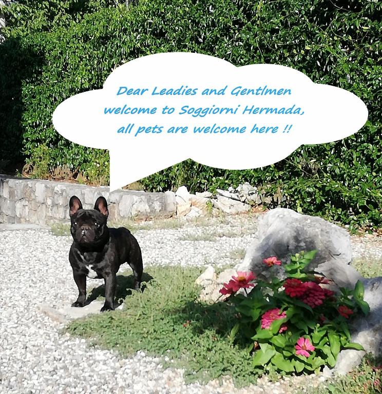 Soggiorni B&B Hermada