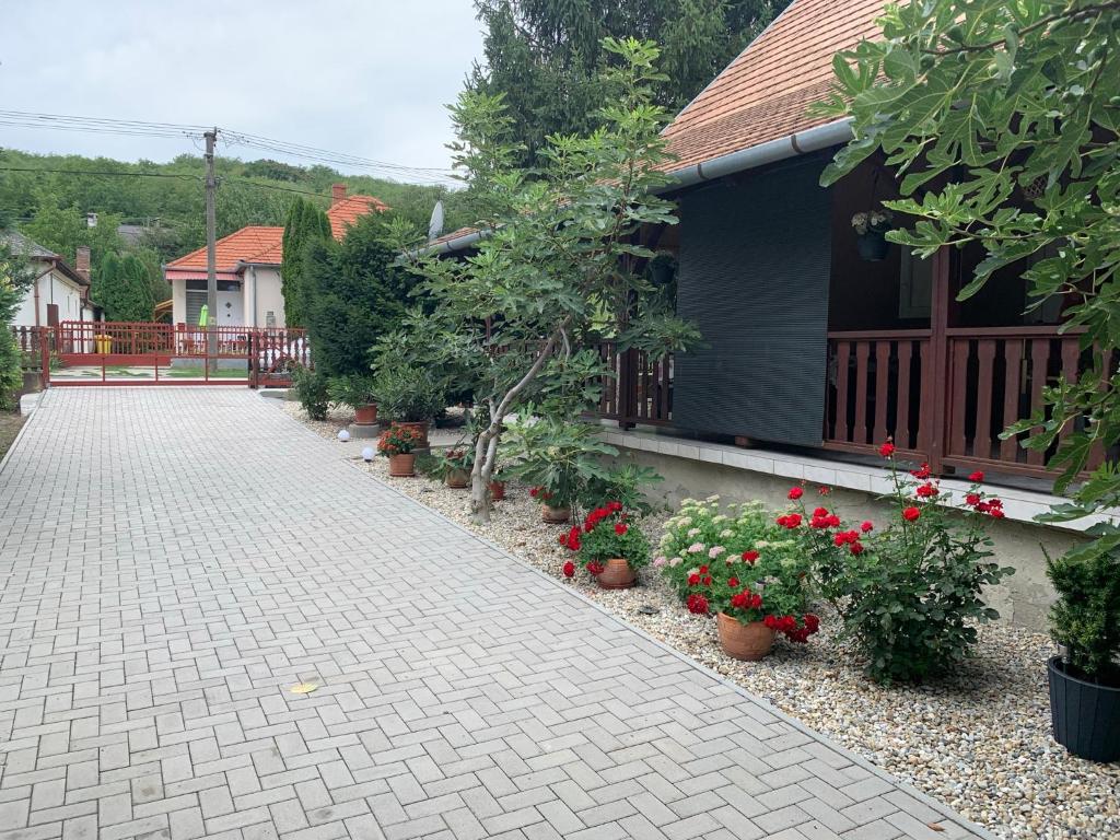 Aed väljaspool majutusasutust Bástya apartman