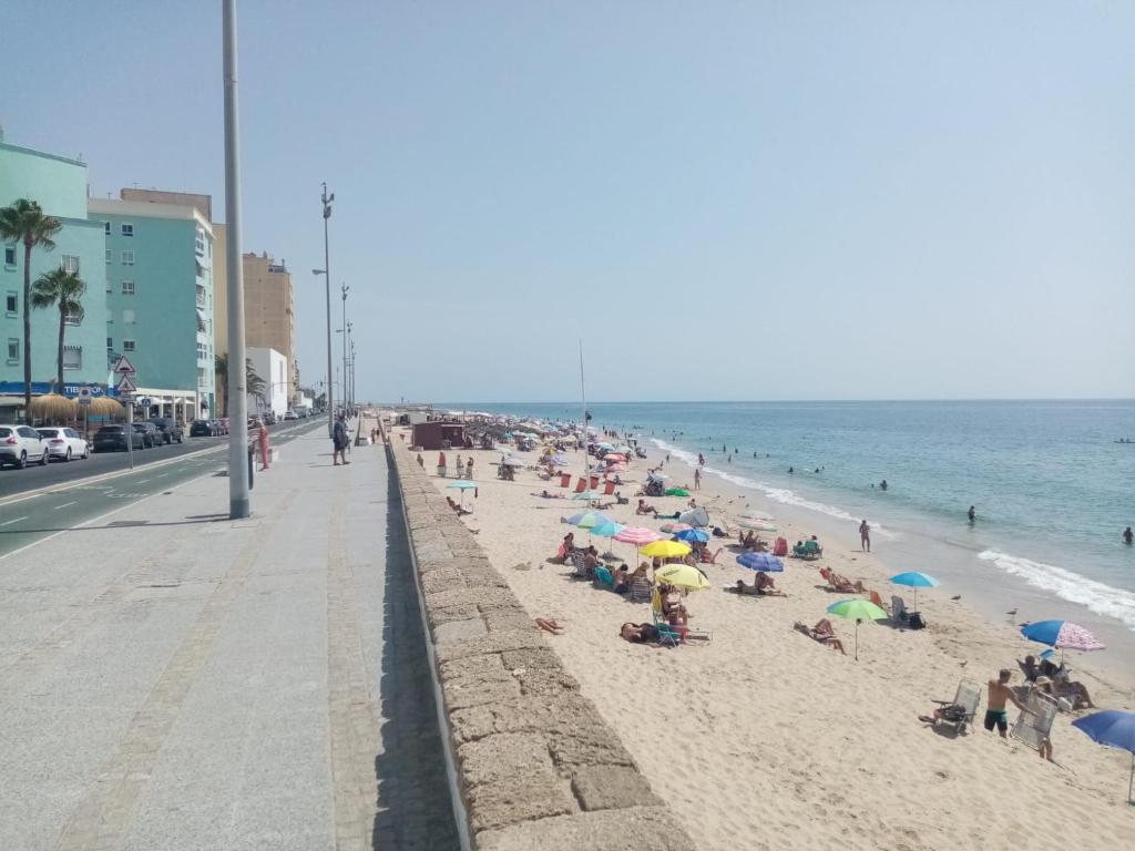 paseo-mar-timo-de-c-diz-c-diz-updated-prices-2026