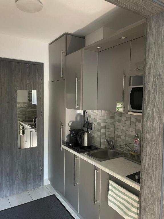 Kuchyňa alebo kuchynka v ubytovaní Benevia Apartments