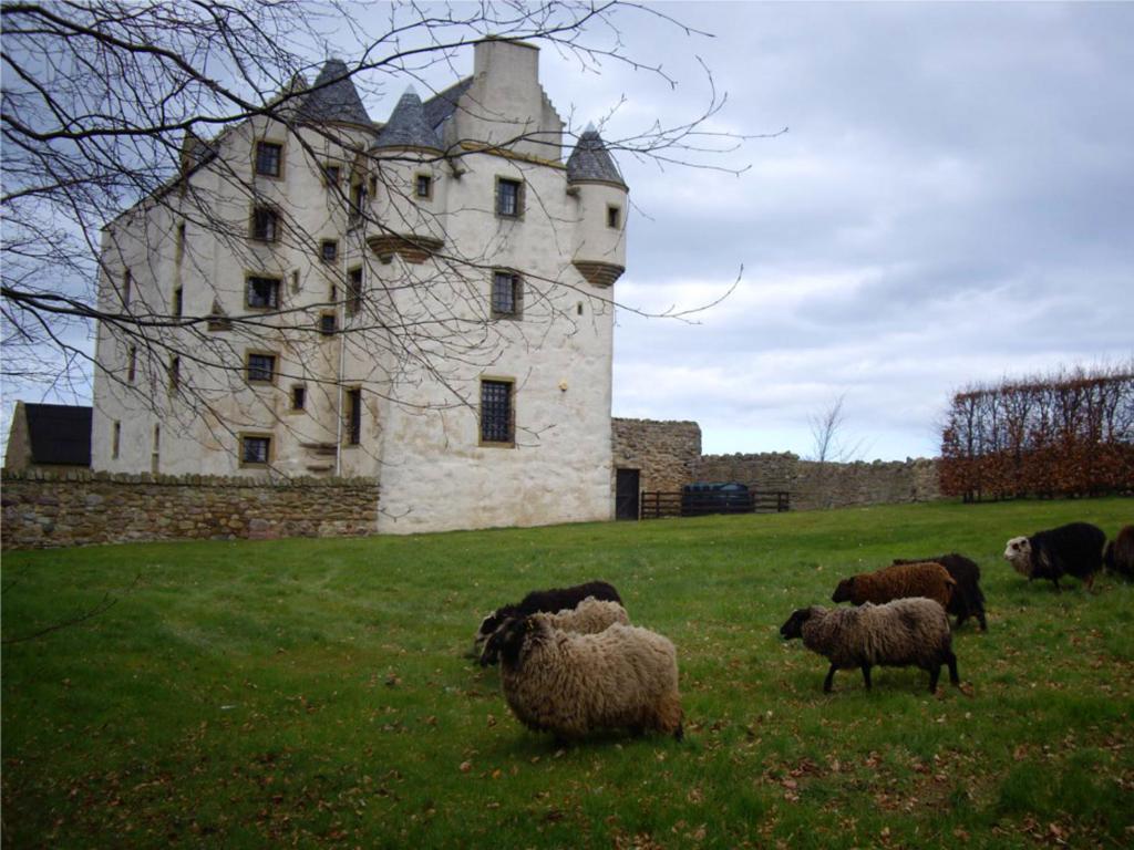 Fotografie z fotogalerie ubytování Faside Estate v destinaci Musselburgh