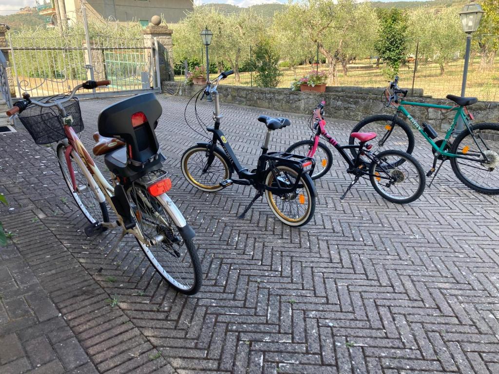 Rowery dostępne w obiekcie Le Coccole Del Trasimeno lub w pobliżu