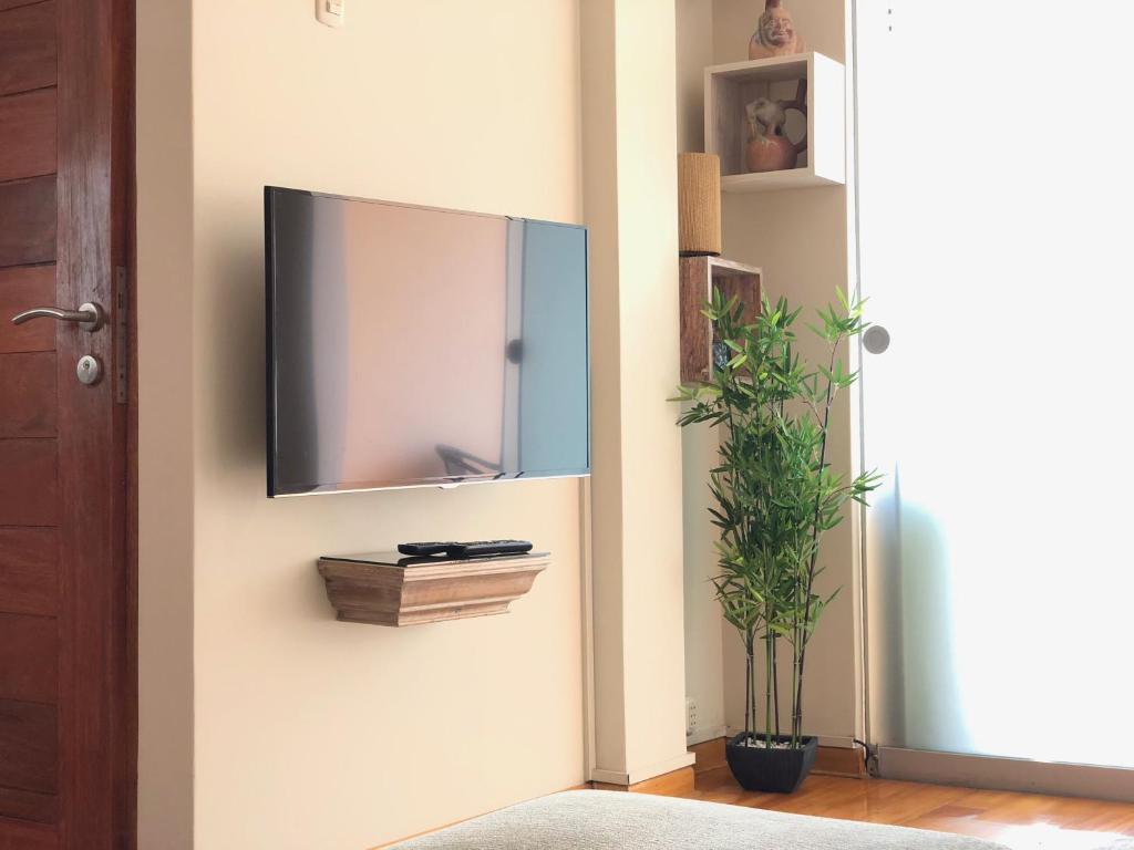 a flat screen tv on a wall with a plant at Balconcito Peruano& Ciudad real 302 & 2 bedroom in Lima