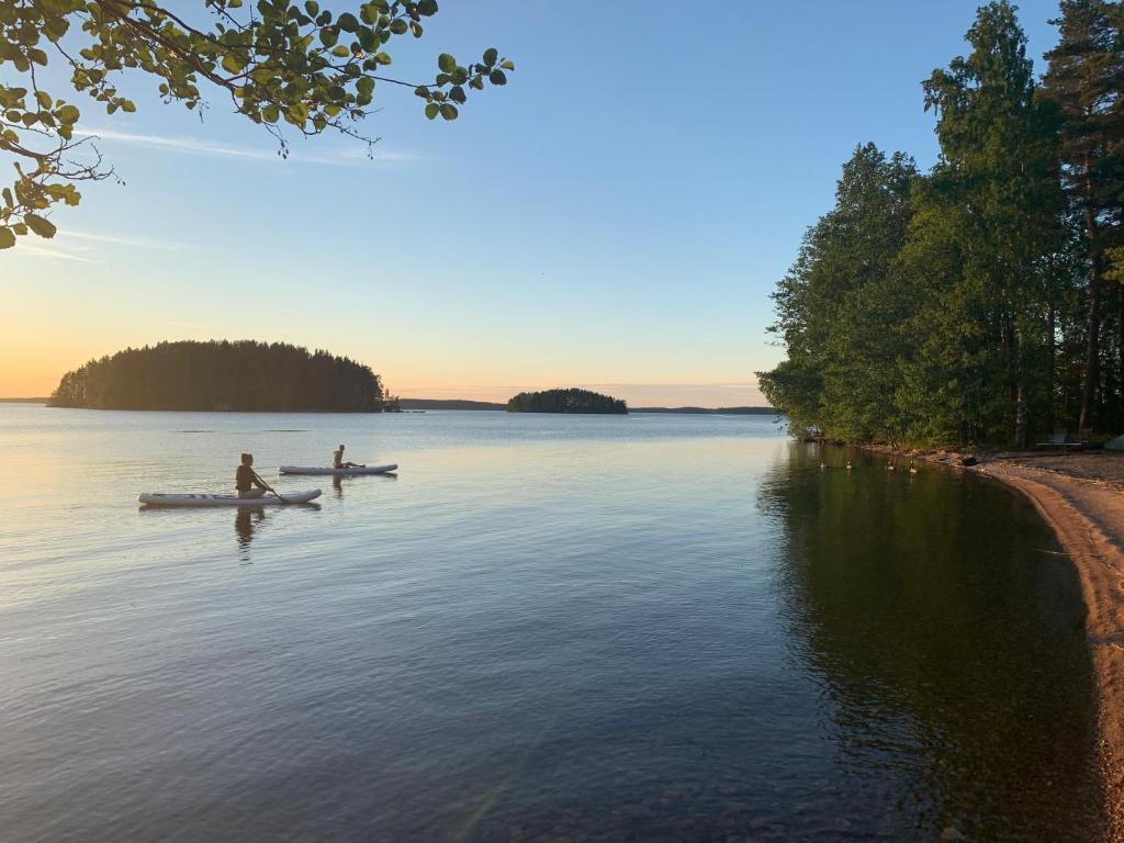 Elegant villa on the shore of Lake Saimaa - Villa De Dos Dormitorios