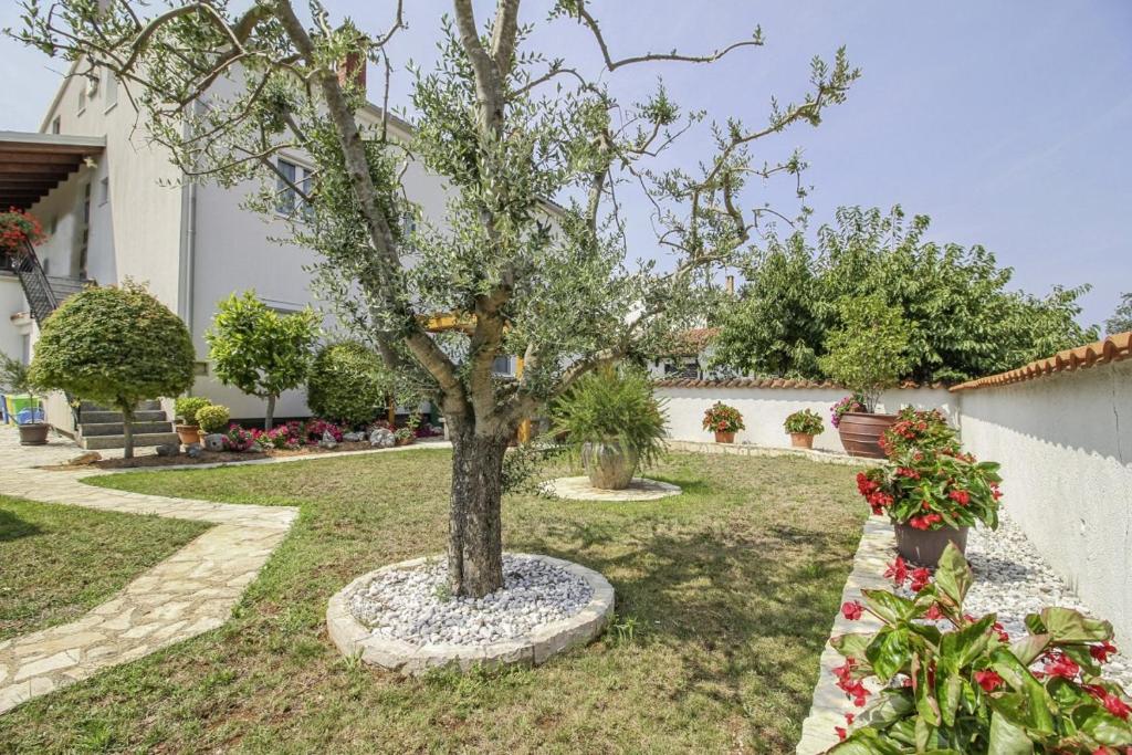 Zahrada ubytování Eva in Poreč * Istrien