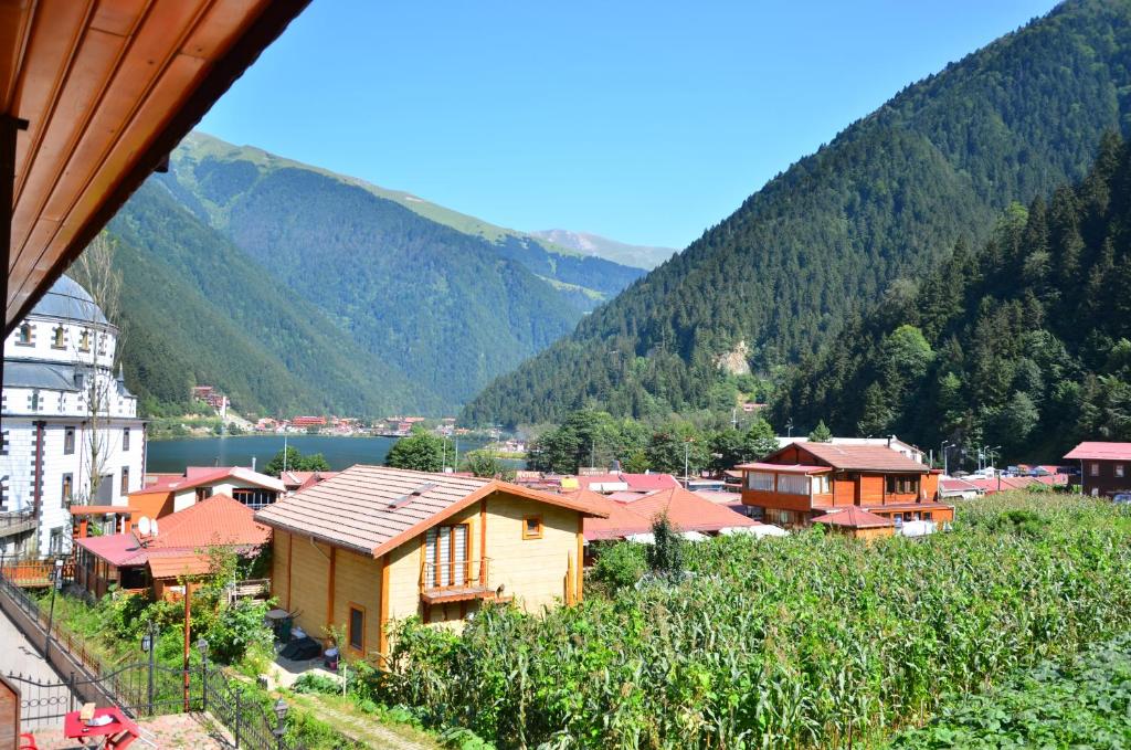 Příroda nedaleko apartmánu