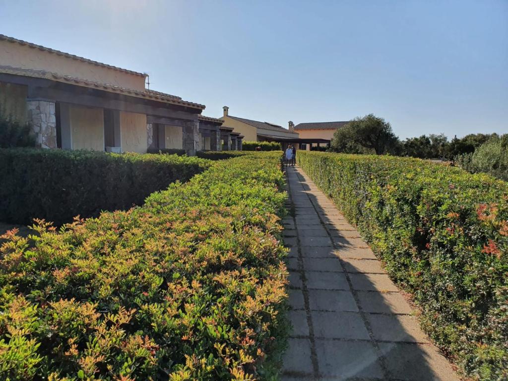 Zahrada ubytování Agriturismo Is Solinas