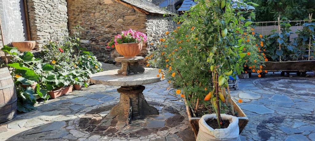 Zahrada ubytování Casa Tonya