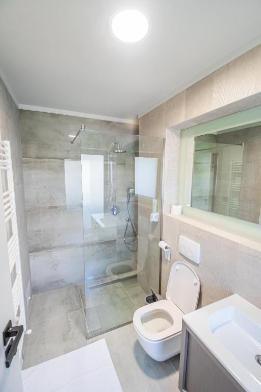 Pensiunea Iristar - Suite Junior