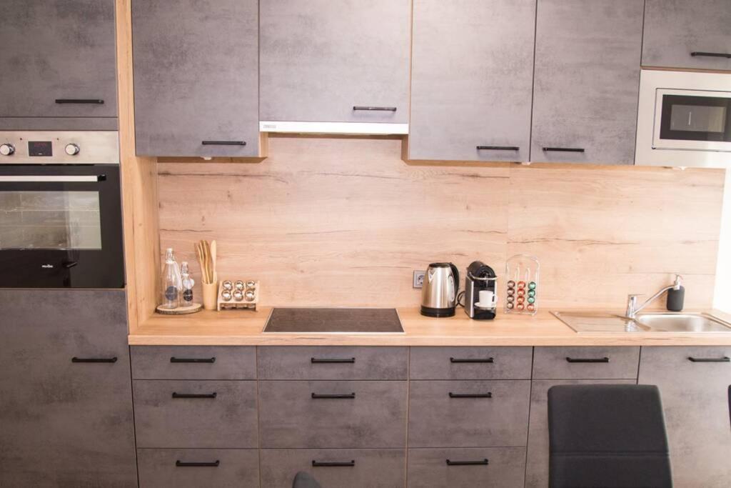 Kuchyň nebo kuchyňský kout v ubytování ROCHUS APPARTEMENTS