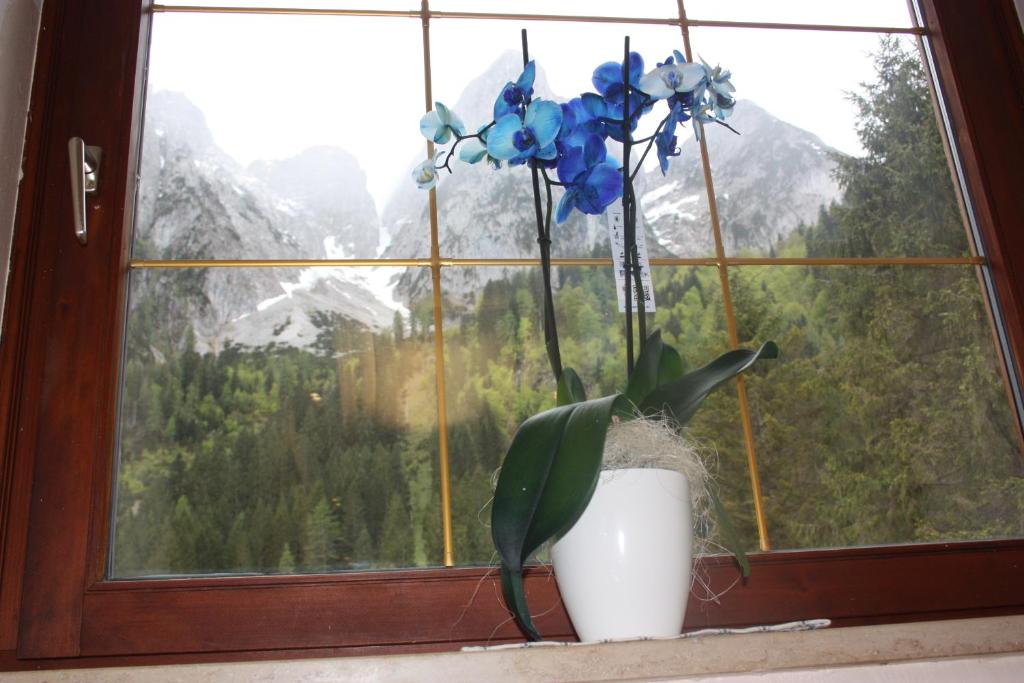 Gasthof Gosausee - 13