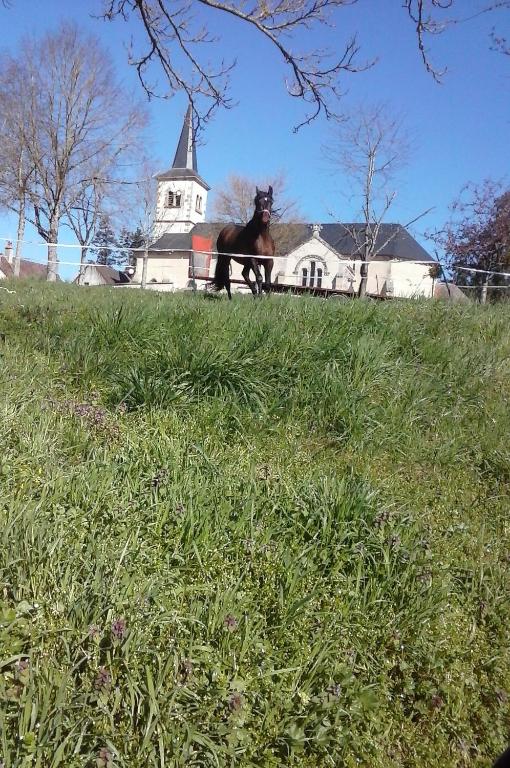 Zahrada ubytování Escale du Morvan