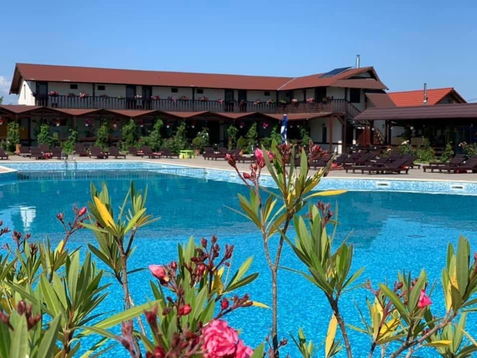 una vista del hotel desde la piscina en Aqua Club Elatis, en Avrig