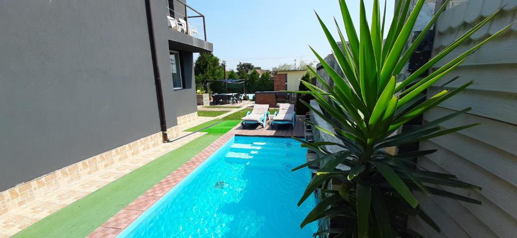 a swimming pool next to a house with a palm tree at Portofino Villa in Costinesti