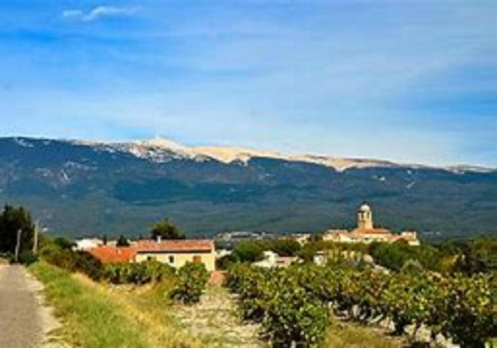 uma estrada com um monte de uvas e uma montanha em A l’ombre du géant de Provence em Mormoiron