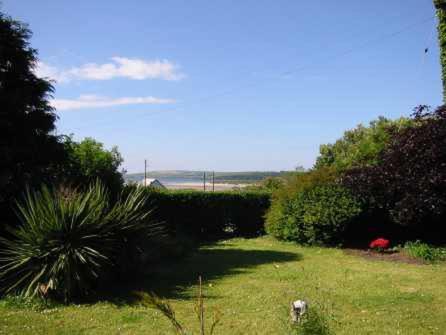 a dog standing in the grass in a field at Cottage by the Sea, West Cork, Ireland in Kilbrittain