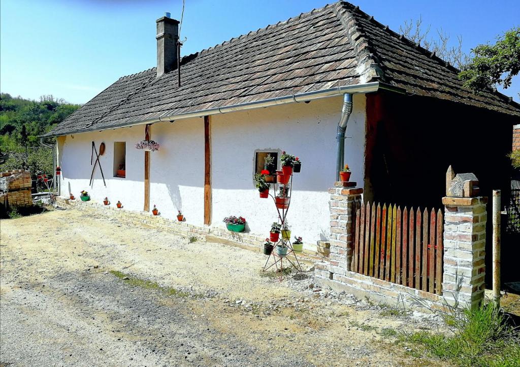 una piccola casa bianca con una recinzione di fronte di Traditionelles Bauernhaus Flieder a Zalaszentgrót