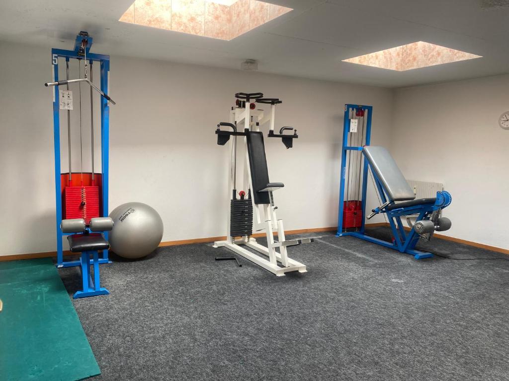 Fitness centrum a/nebo fitness zařízení v ubytování Alpine apartment in Swiss village of Torgon