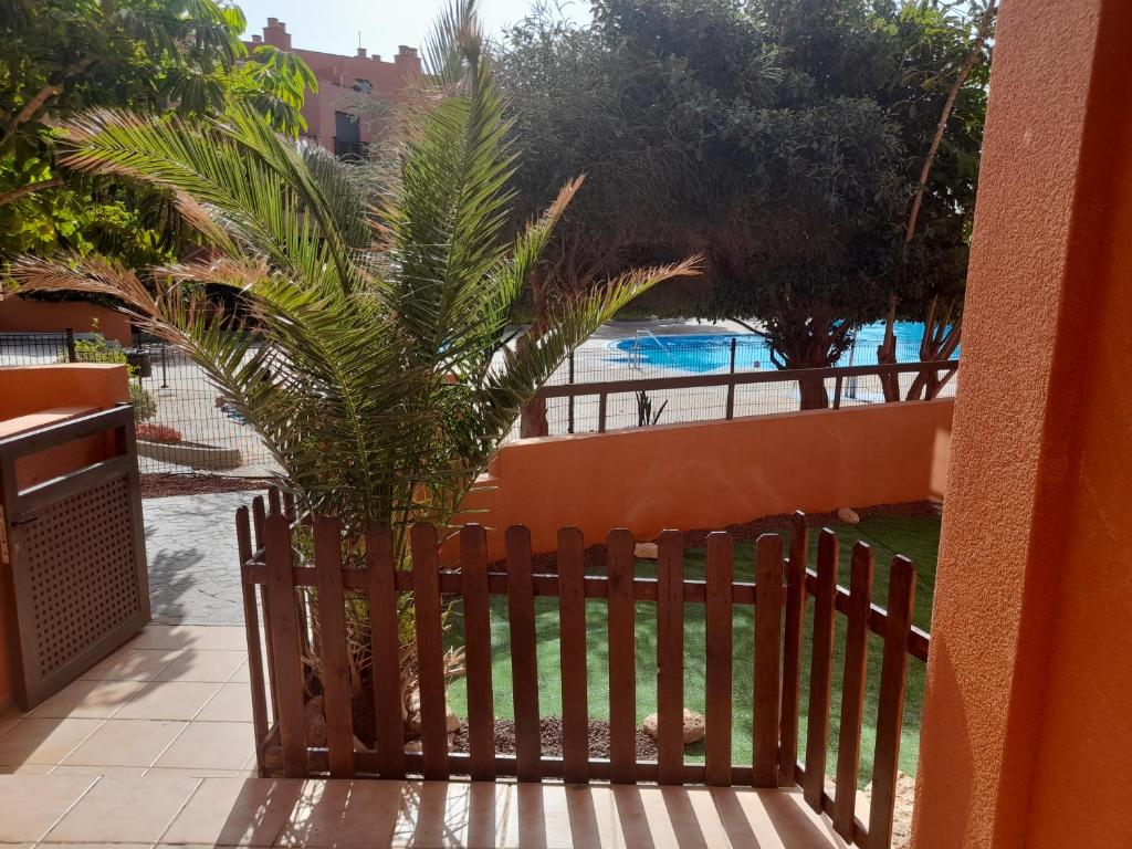 a fence with a palm tree in front of a pool at Apartamento Lucia in Granadilla de Abona