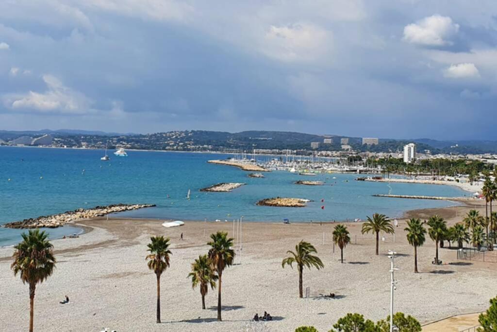 a beach with palm trees and a body of water at Superbe appartement plage SAINT-LAURENT DU VAR in Saint-Laurent-du-Var