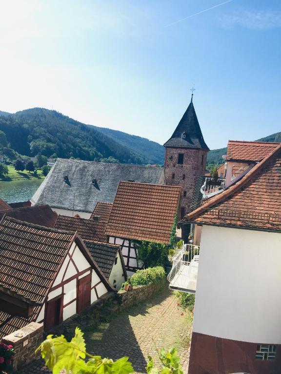 Neckarblick,Natur, Altstadt