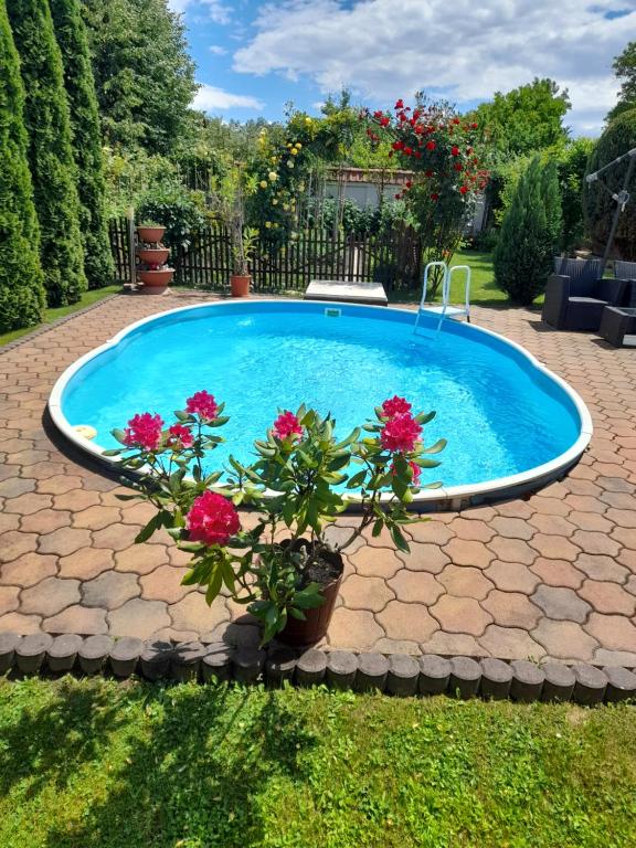 a swimming pool with flowers in a yard at Casa Ioana in Haţeg