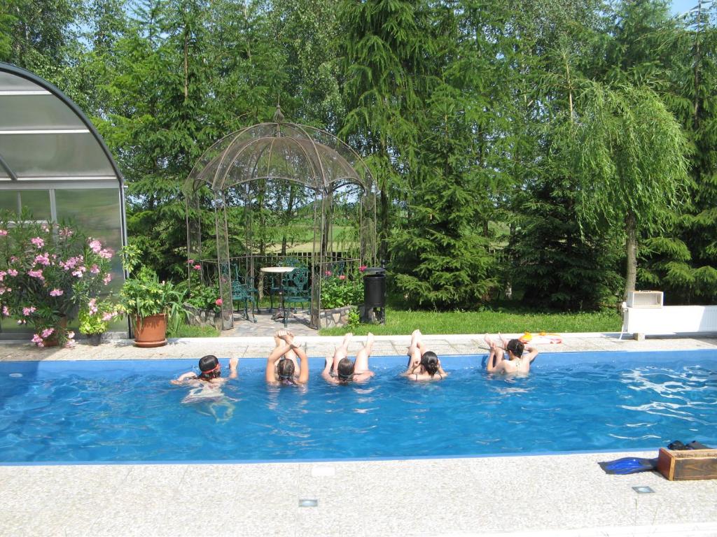 Stręgielek的住宿－Dworek Mazurski Lizer，一群人在游泳池里