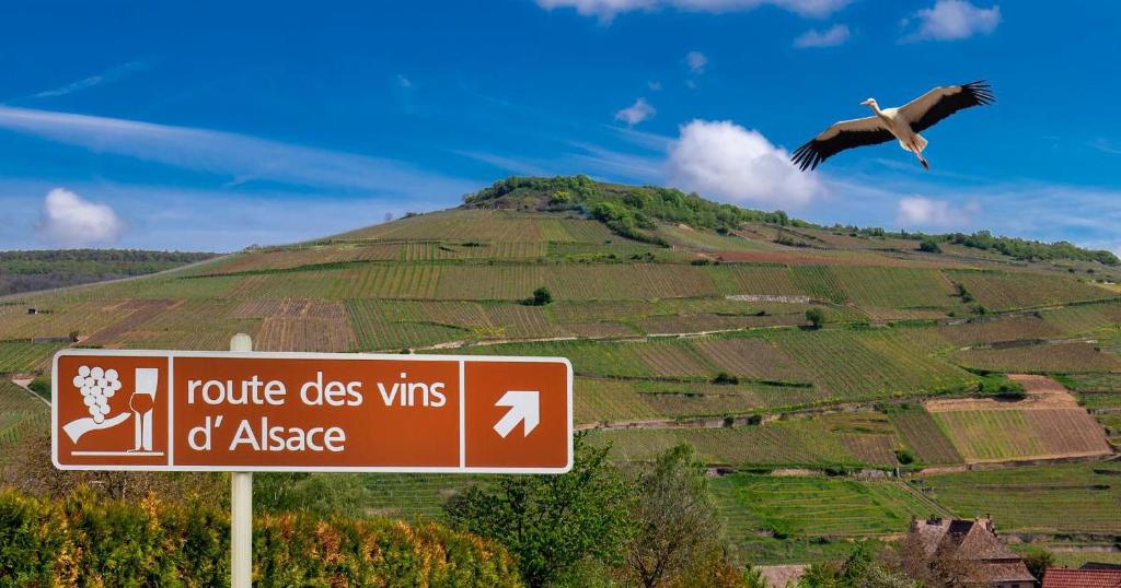 a bird flying over a sign in front of a hill at Le Petit Pèlerin in Ammerschwihr