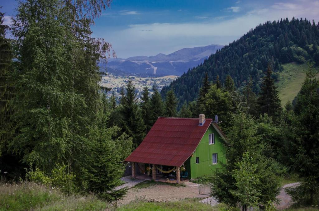 uma casa verde com um telhado vermelho na floresta em Căbănuța din Pădure em Borşa